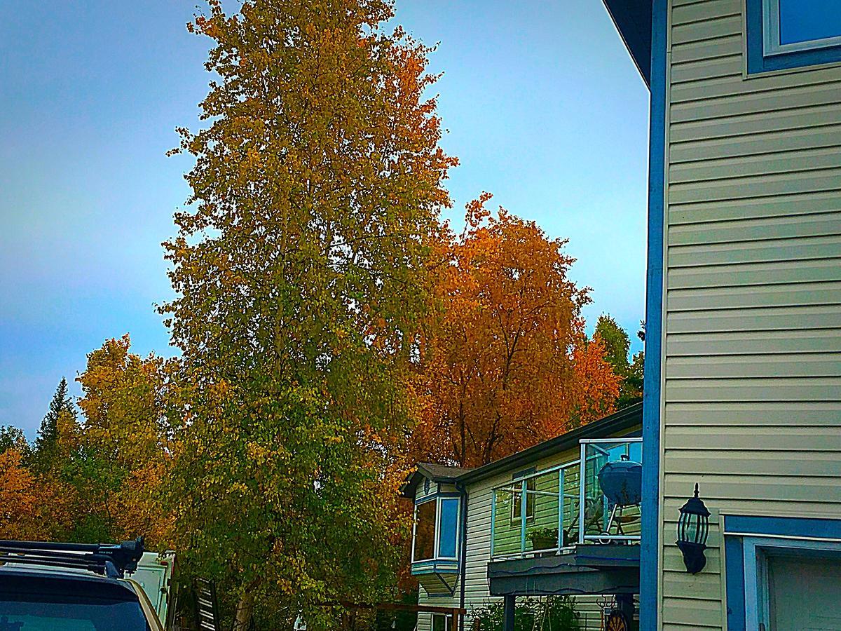 Mabuhay Lakeside Manor Bed & Breakfast Yellowknife Dış mekan fotoğraf